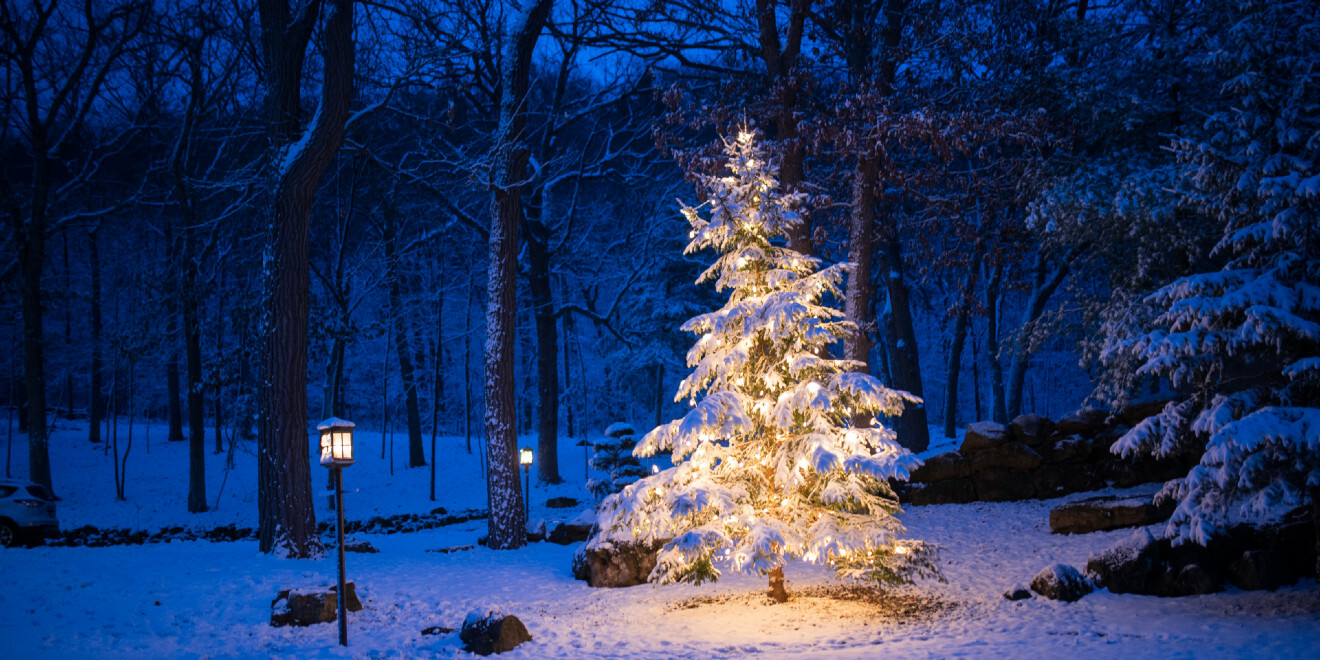 the-history-of-the-christmas-tree-through-the-ages