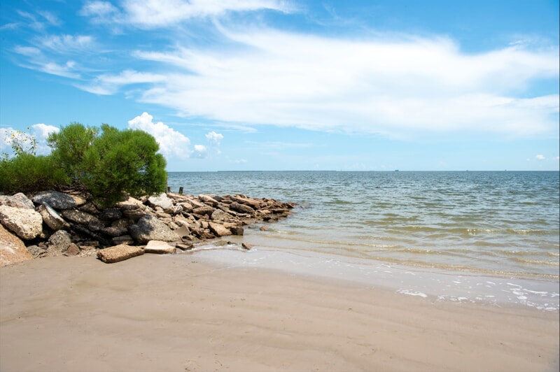 Beach with rocks and bush